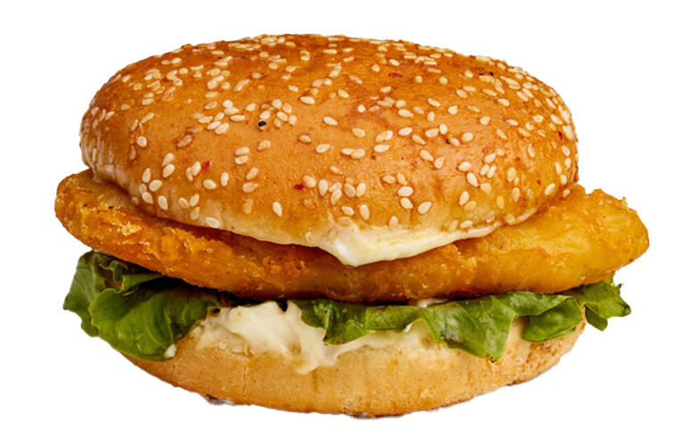 Chicken Burger Steak